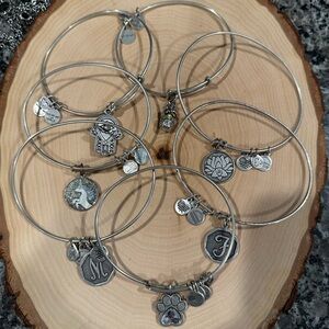 Alex and Ani Silver Charm Bracelet Collection